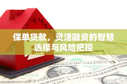 历下保单贷款，灵活融资的智慧选择与风险把控