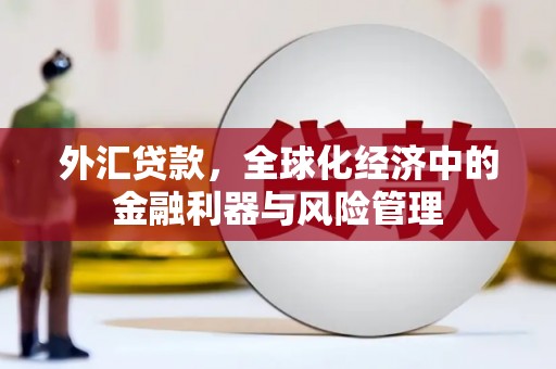 历下外汇贷款，全球化经济中的金融利器与风险管理