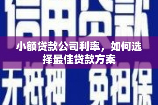 历下小额贷款公司利率，如何选择最佳贷款方案