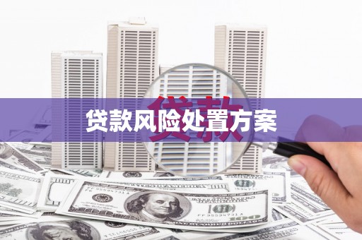 历下贷款风险处置方案