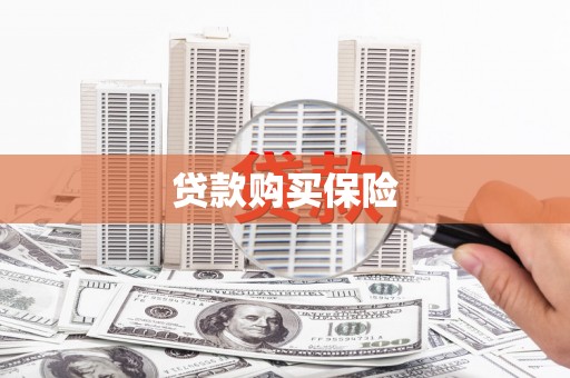 历下贷款购买保险