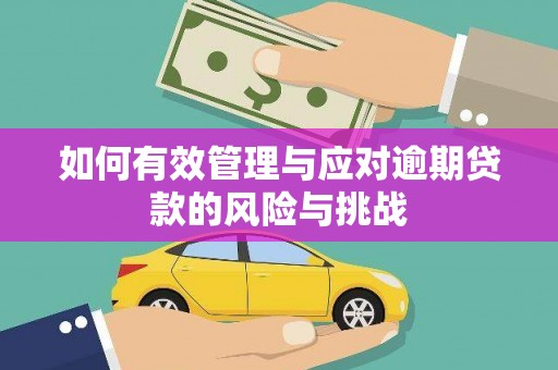 历下如何有效管理与应对逾期贷款的风险与挑战
