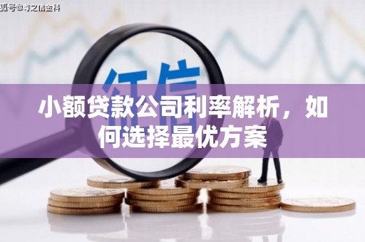 历下小额贷款公司利率解析，如何选择最优方案