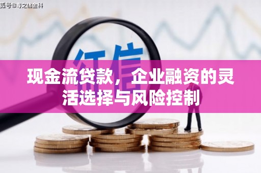 历下现金流贷款，企业融资的灵活选择与风险控制