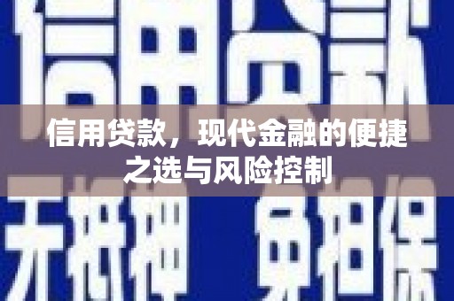 历下信用贷款，现代金融的便捷之选与风险控制