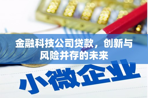历下金融科技公司贷款，创新与风险并存的未来