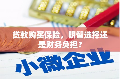 历下贷款购买保险，明智选择还是财务负担？