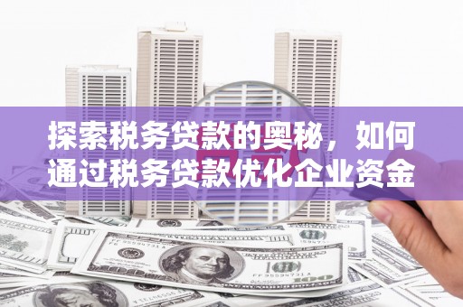 历下探索税务贷款的奥秘，如何通过税务贷款优化企业资金流