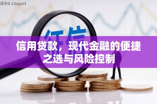 历下信用贷款，现代金融的便捷之选与风险控制