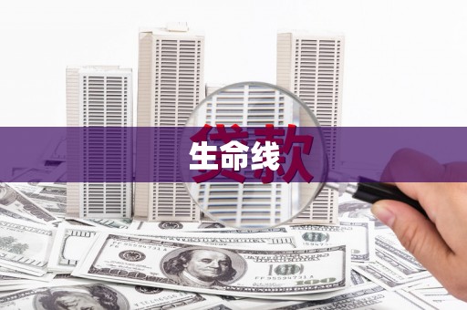 历下生命线