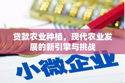 历下贷款农业种植，现代农业发展的新引擎与挑战
