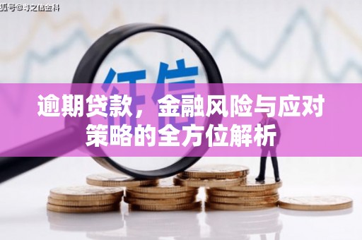 历下逾期贷款，金融风险与应对策略的全方位解析