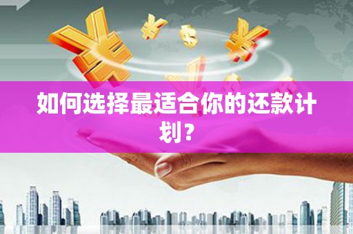 历下如何选择最适合你的还款计划？