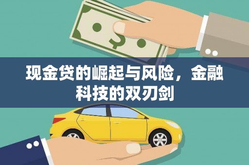 历下现金贷的崛起与风险，金融科技的双刃剑