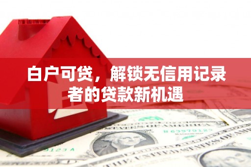 历下白户可贷，解锁无信用记录者的贷款新机遇