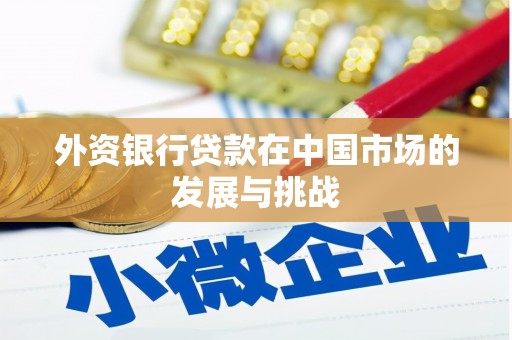 历下外资银行贷款在中国市场的发展与挑战