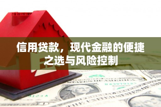 历下信用贷款，现代金融的便捷之选与风险控制