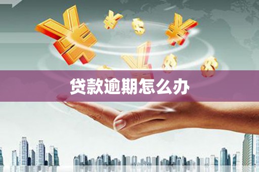 历下贷款逾期怎么办