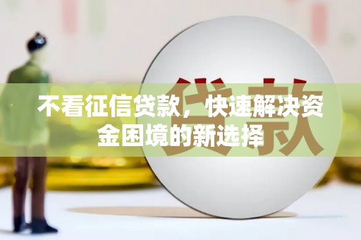 历下不看征信贷款，快速解决资金困境的新选择