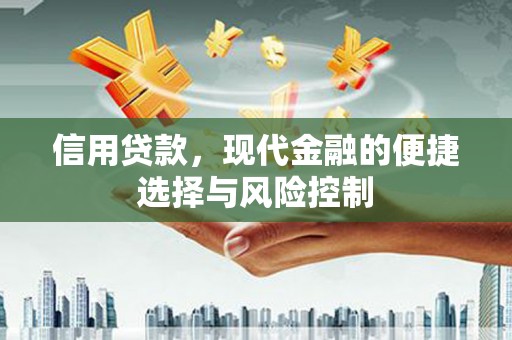 历下信用贷款，现代金融的便捷选择与风险控制