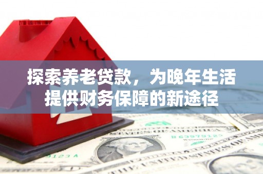 历下探索养老贷款，为晚年生活提供财务保障的新途径