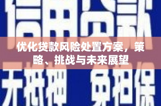 历下优化贷款风险处置方案，策略、挑战与未来展望