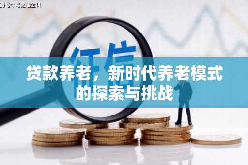 历下贷款养老，新时代养老模式的探索与挑战