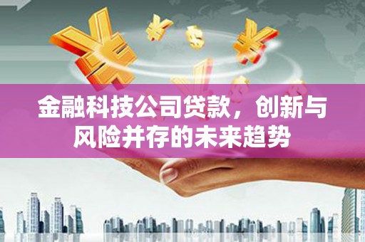 历下金融科技公司贷款，创新与风险并存的未来趋势