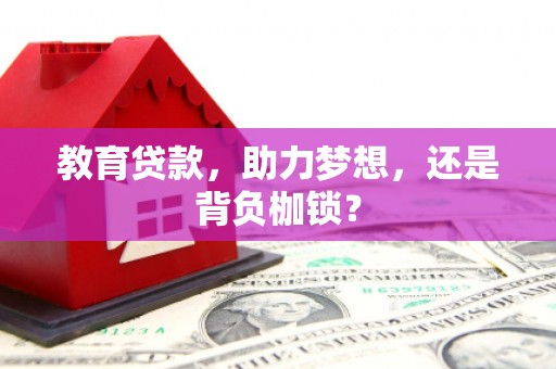 历下教育贷款，助力梦想，还是背负枷锁？