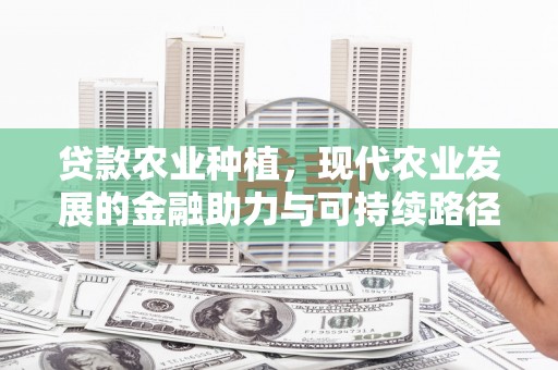历下贷款农业种植，现代农业发展的金融助力与可持续路径