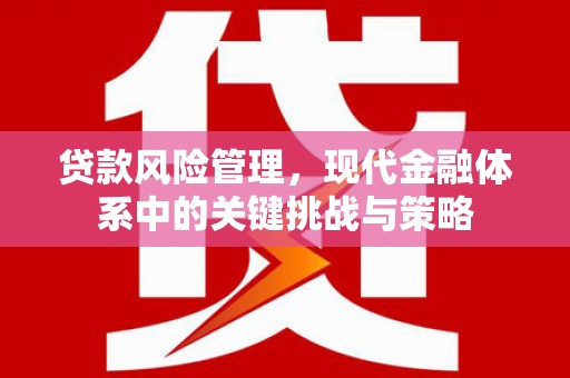历下贷款风险管理，现代金融体系中的关键挑战与策略