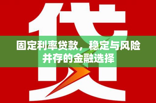 历下固定利率贷款，稳定与风险并存的金融选择