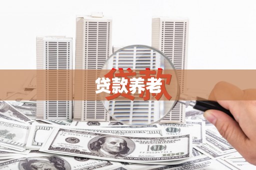 历下贷款养老