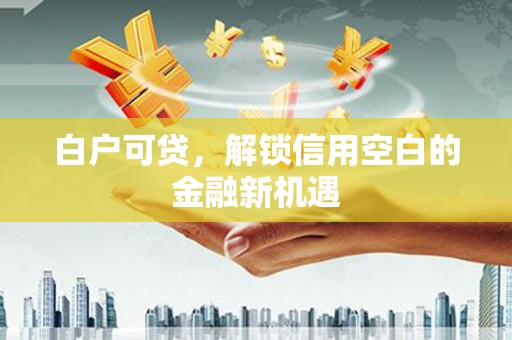 历下白户可贷，解锁信用空白的金融新机遇