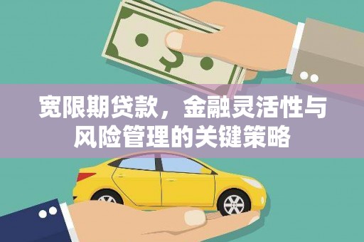 历下宽限期贷款，金融灵活性与风险管理的关键策略