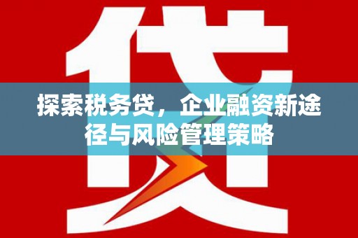 历下探索税务贷，企业融资新途径与风险管理策略