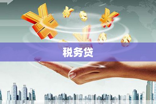 历下税务贷
