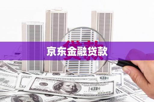 历下京东金融贷款