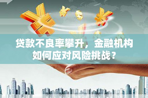历下贷款不良率攀升，金融机构如何应对风险挑战？