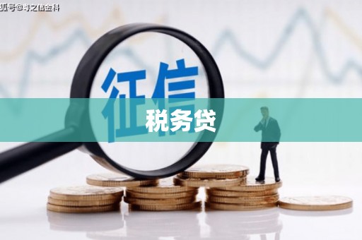 历下税务贷
