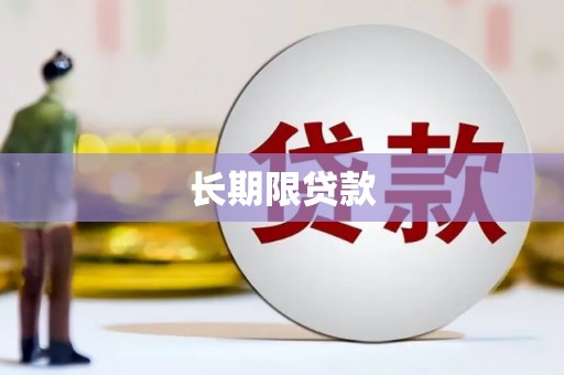 历下长期限贷款
