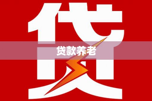 历下贷款养老