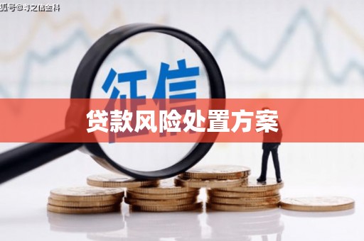 历下贷款风险处置方案