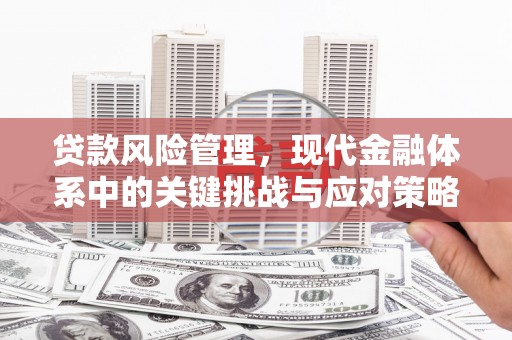 历下贷款风险管理，现代金融体系中的关键挑战与应对策略