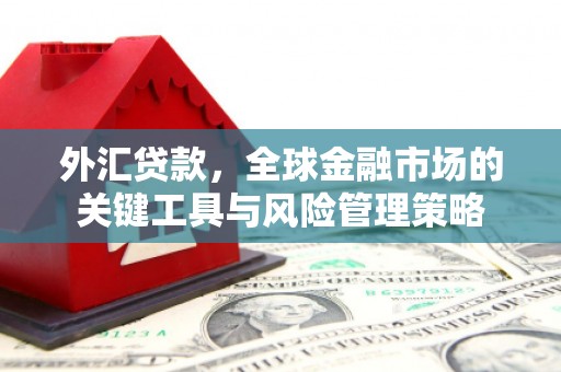 历下外汇贷款，全球金融市场的关键工具与风险管理策略