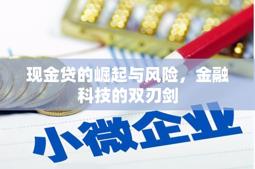 历下现金贷的崛起与风险，金融科技的双刃剑