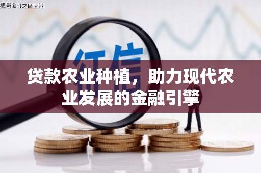 历下贷款农业种植，助力现代农业发展的金融引擎