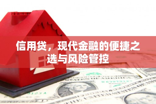 历下信用贷，现代金融的便捷之选与风险管控