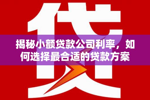历下揭秘小额贷款公司利率，如何选择最合适的贷款方案