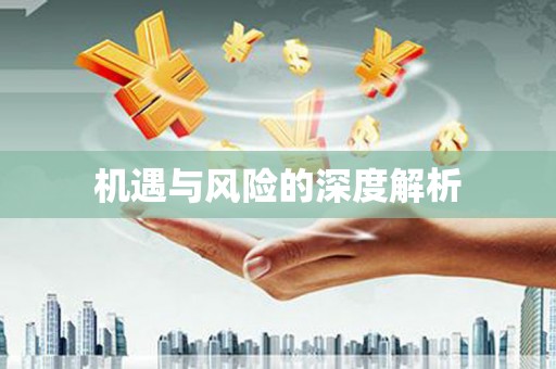 历下机遇与风险的深度解析